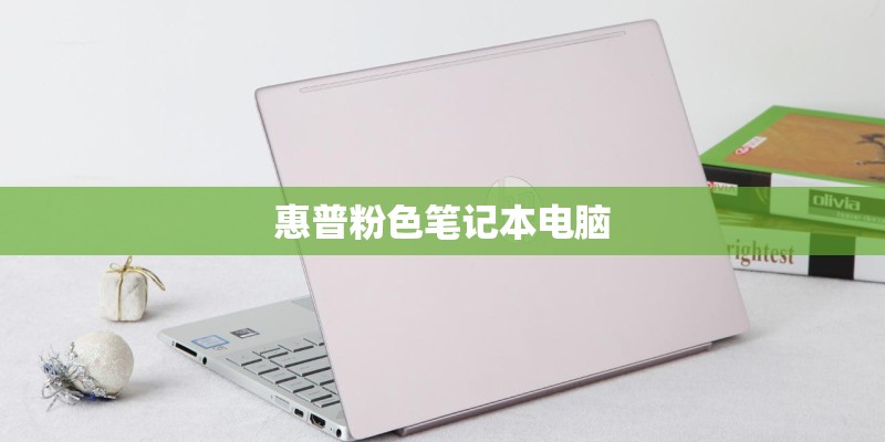 惠普粉色笔记本电脑