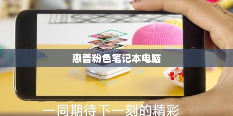 惠普粉色笔记本电脑