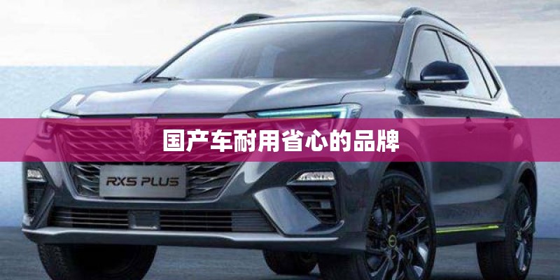 国产车耐用省心的品牌