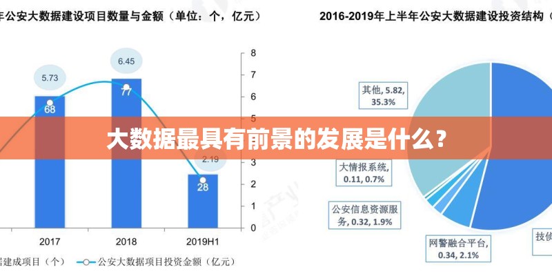 大数据最具有前景的发展是什么? 大数据最具有前景的发展是什么?