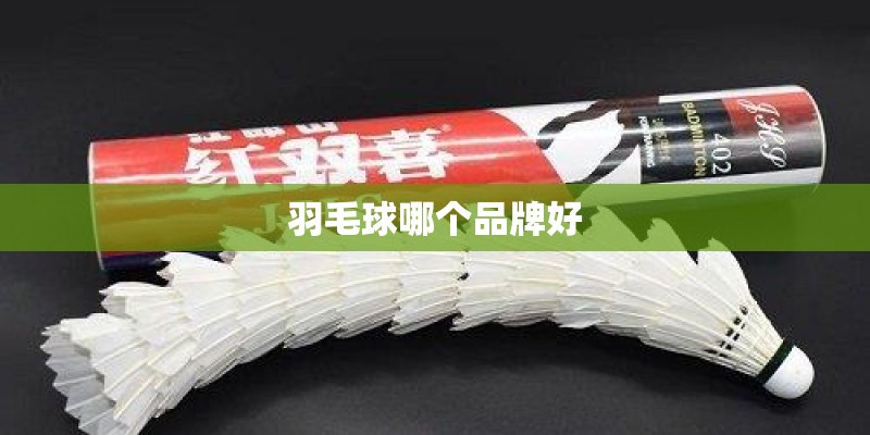 羽毛球哪个品牌好 羽毛球哪个品牌好