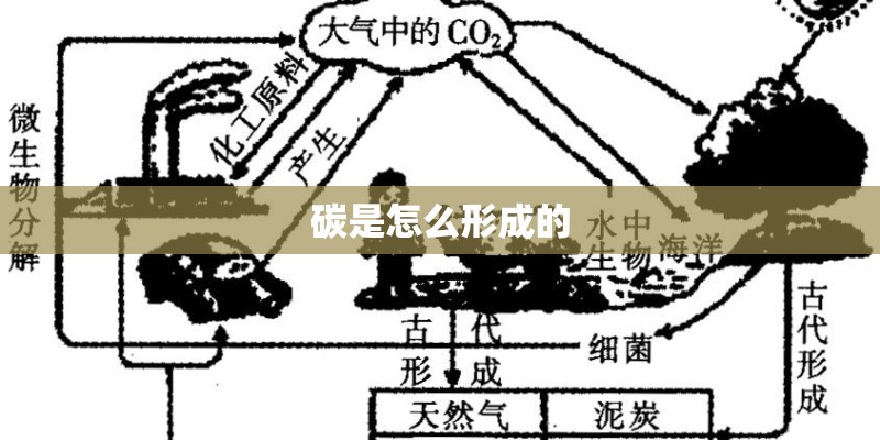 碳是怎么形成的 碳是怎么形成的