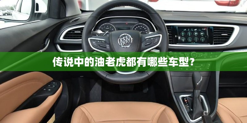 传说中的油老虎都有哪些车型? 传说中的油老虎都有哪些车型?