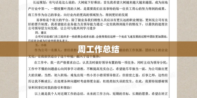 周工作总结 周工作总结