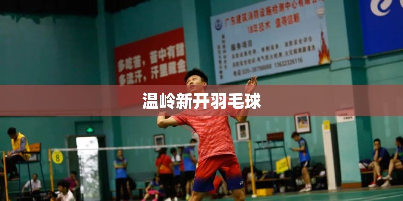温岭新开羽毛球 温岭新开羽毛球