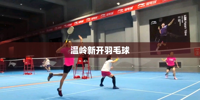 温岭新开羽毛球 温岭新开羽毛球