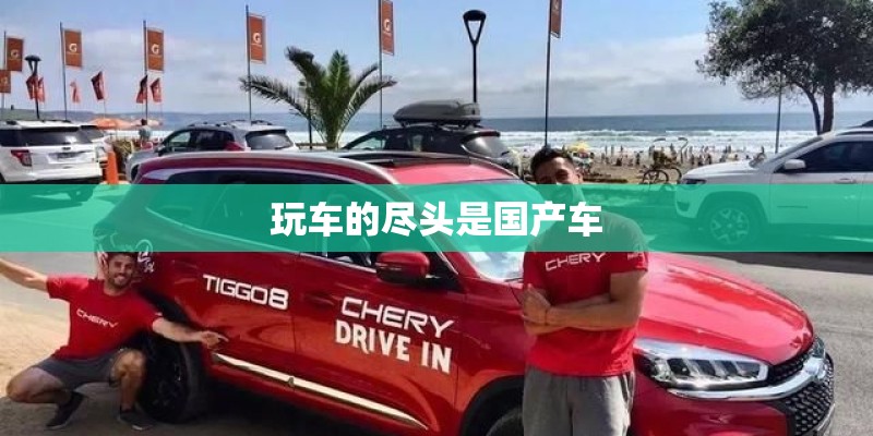 玩车的尽头是国产车