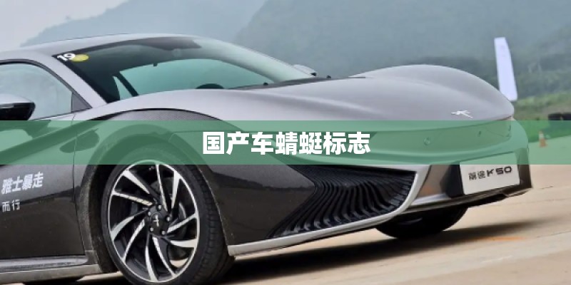 国产车蜻蜓标志 国产车蜻蜓标志