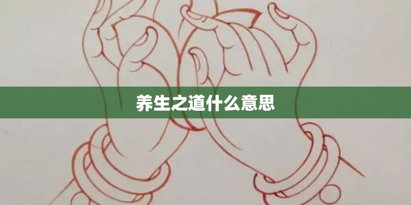 养生之道什么意思
