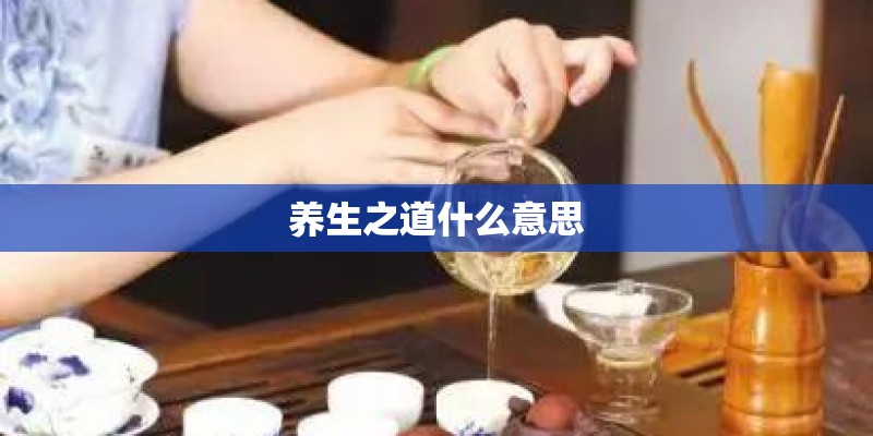 养生之道什么意思
