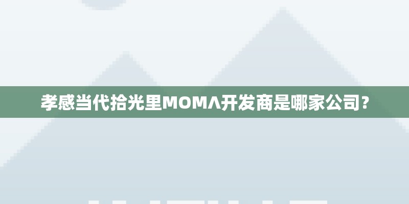 孝感当代拾光里MOMΛ开发商是哪家公司？