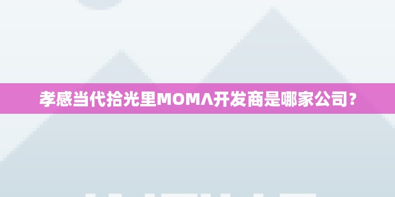 孝感当代拾光里MOMΛ开发商是哪家公司？