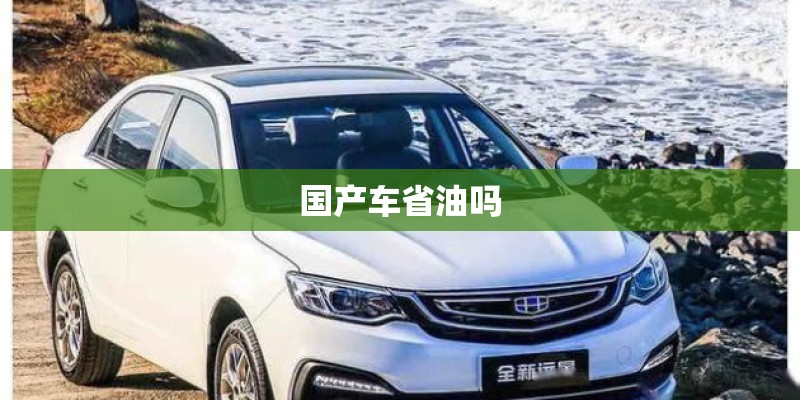 国产车省油吗