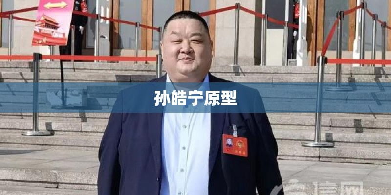 孙皓宁原型 孙皓宁原型