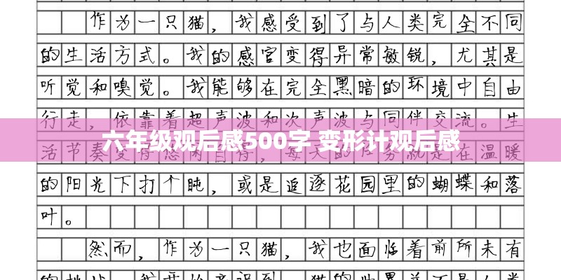 六年级观后感500字 变形计观后感 六年级观后感500字 变形计观后感