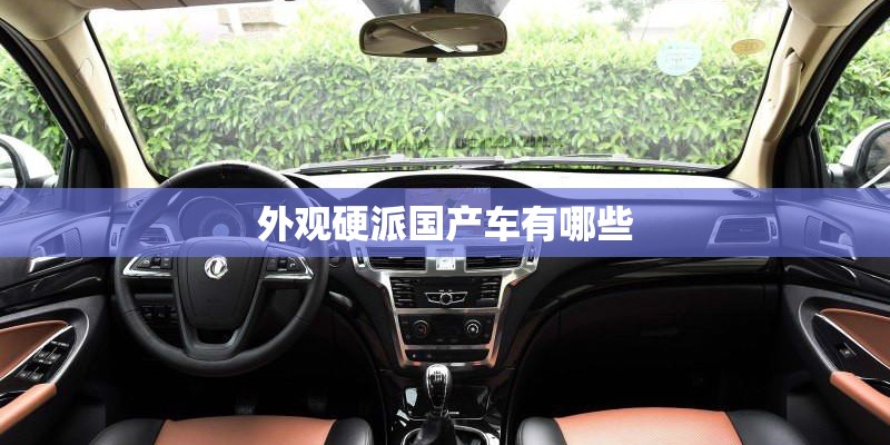 为什么都不建议买致享？