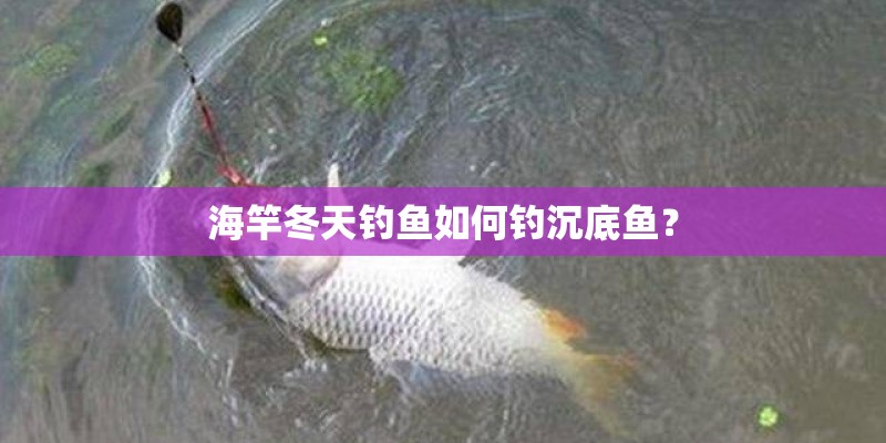 冬天应该吃些什么来保暖？