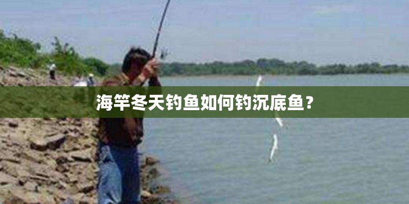 海竿冬天钓鱼如何钓沉底鱼? 海竿冬天钓鱼如何钓沉底鱼?