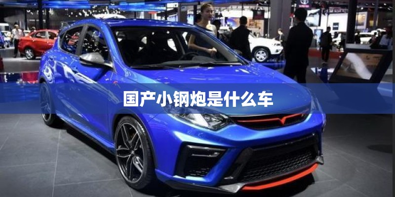 国产小钢炮是什么车