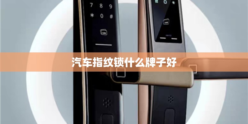 汽车指纹锁什么牌子好