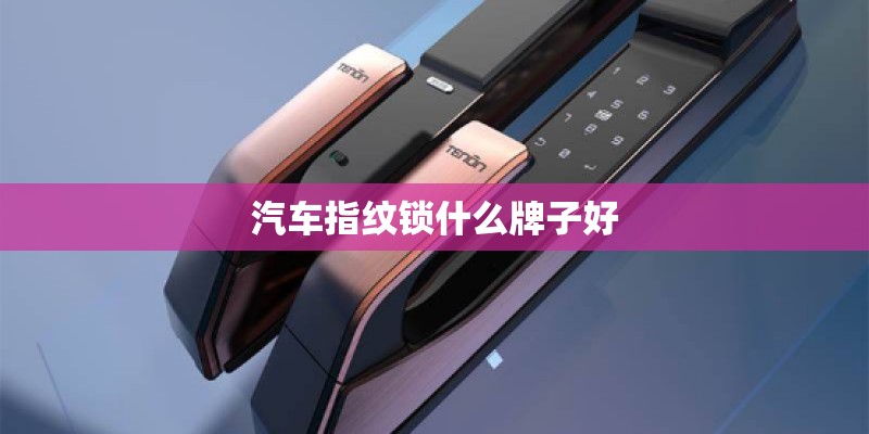 汽车指纹锁什么牌子好