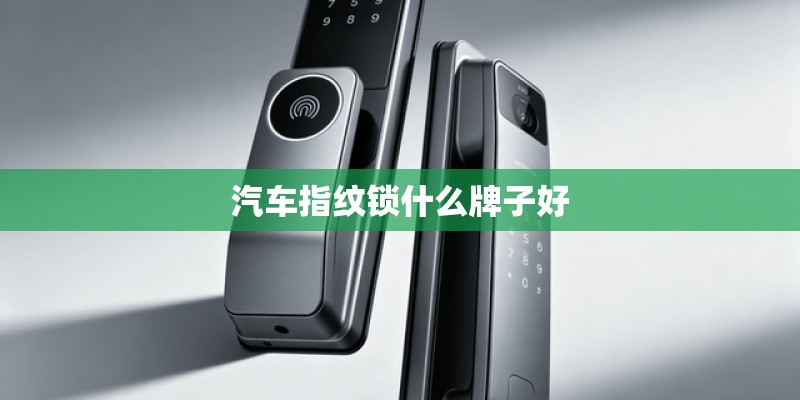 汽车指纹锁什么牌子好