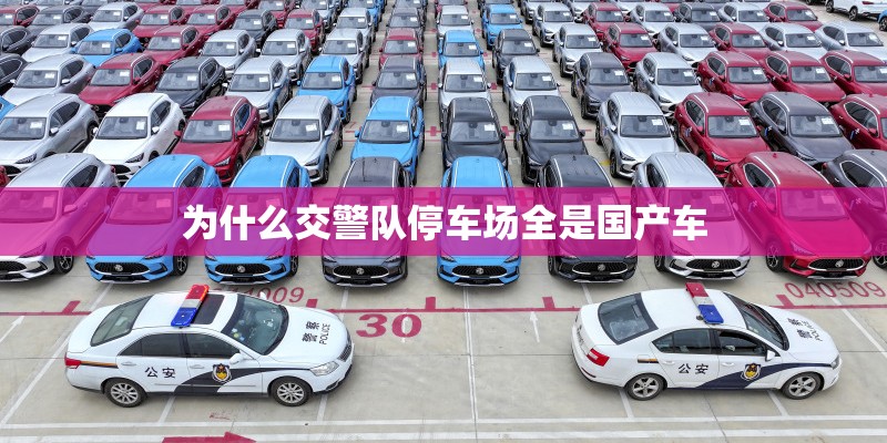 为什么交警队停车场全是国产车 为什么交警队停车场全是国产车