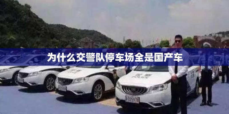 为什么交警队停车场全是国产车 为什么交警队停车场全是国产车