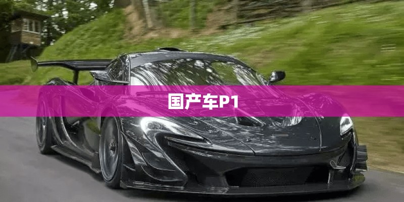 国产小钢炮是什么车