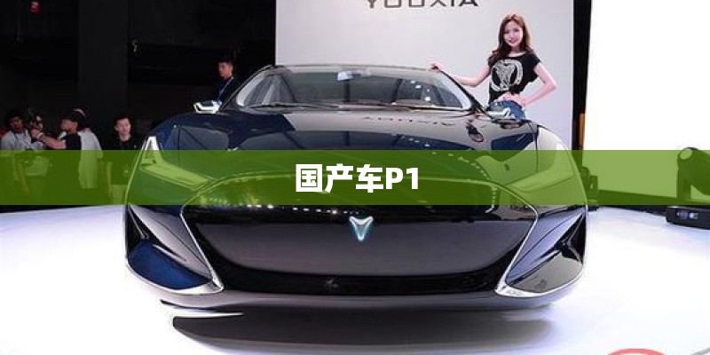 国产车P1 国产车P1