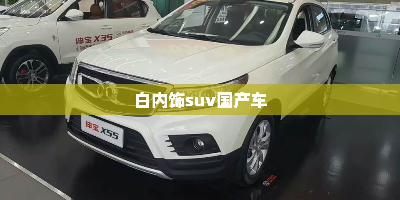 白内饰suv国产车 白内饰suv国产车