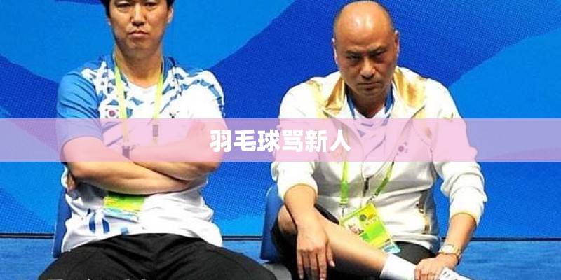 羽毛球骂新人 羽毛球骂新人