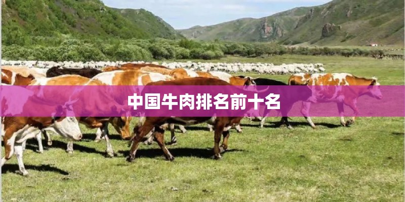 有了“一键还原”具体要怎么操作啊？
