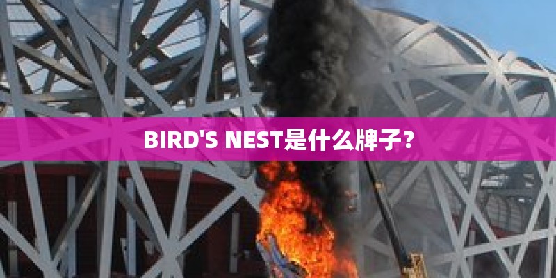 BIRD'S NEST是什么牌子？