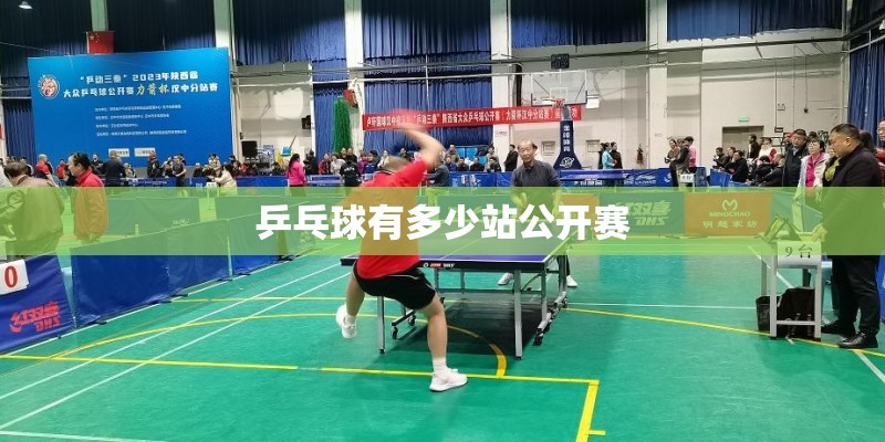 乒乓球有多少站公开赛