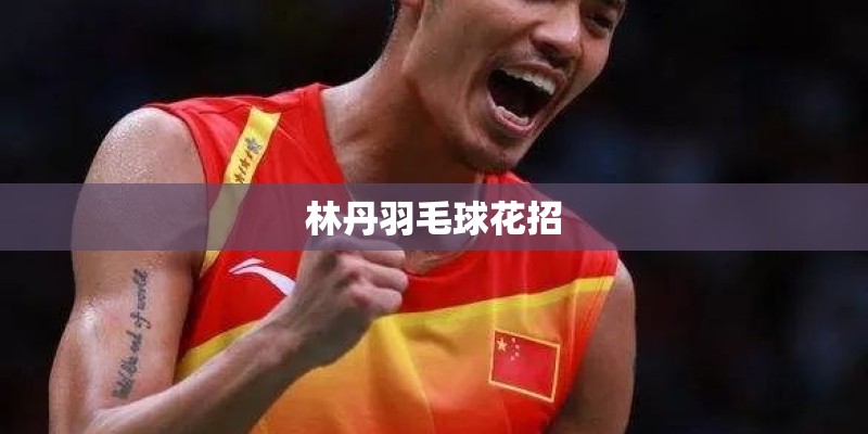 林丹羽毛球花招