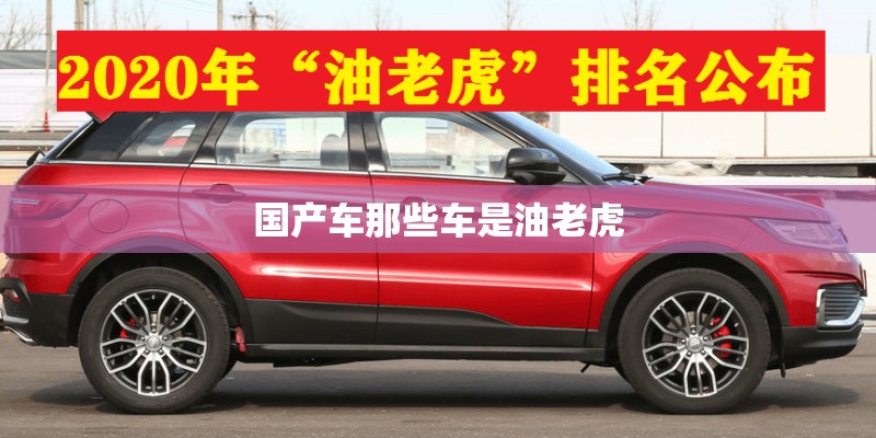 国际奥运会用的乒乓球是什么牌的-多少元一个-