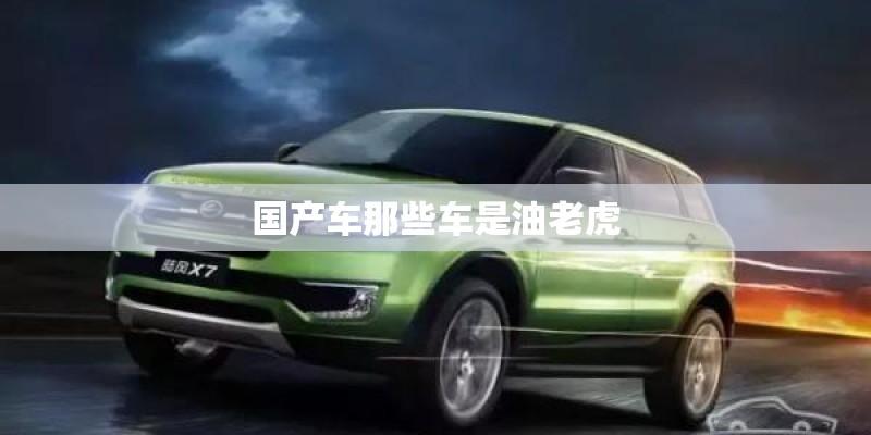 国产车那些车是油老虎 国产车那些车是油老虎