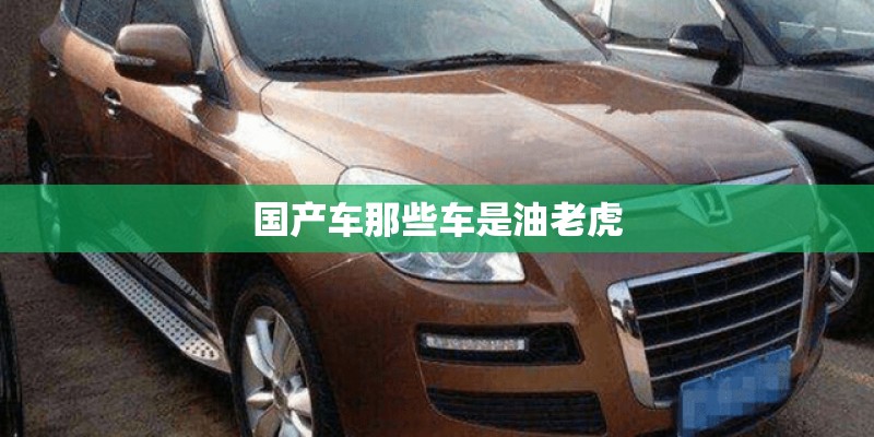 国产车那些车是油老虎 国产车那些车是油老虎