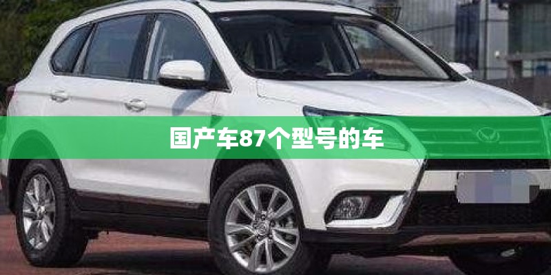 国际奥运会用的乒乓球是什么牌的-多少元一个-