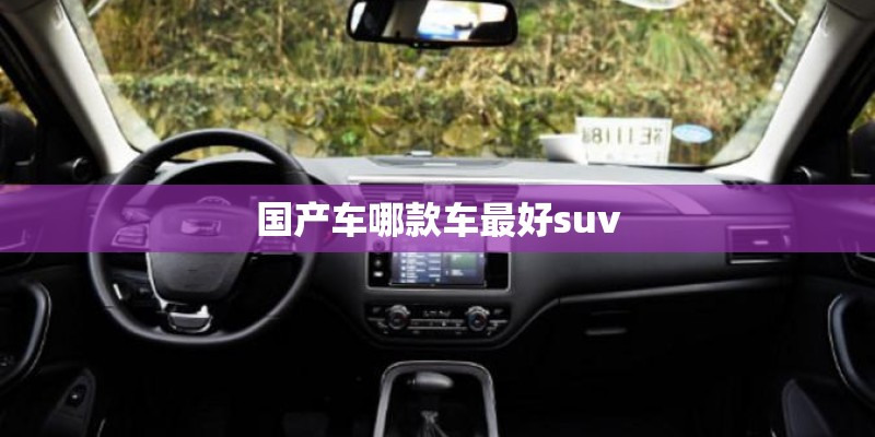 国产车那些车是油老虎