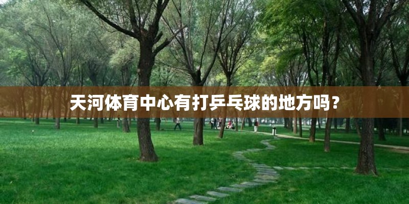 天河体育中心有打乒乓球的地方吗? 天河体育中心有打乒乓球的地方吗?