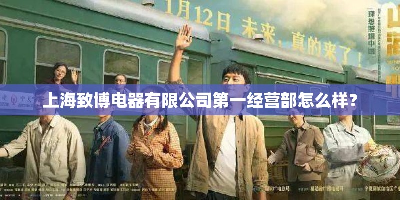 上海致博电器有限公司第一经营部怎么样? 上海致博电器有限公司第一经营部怎么样?