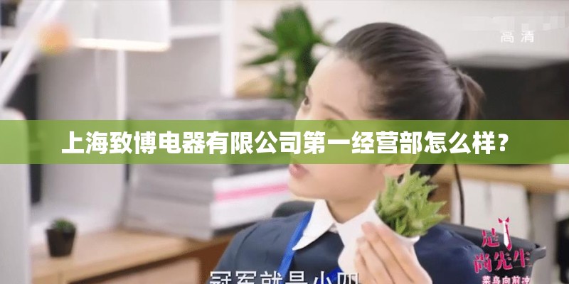 上海致博电器有限公司第一经营部怎么样? 上海致博电器有限公司第一经营部怎么样?