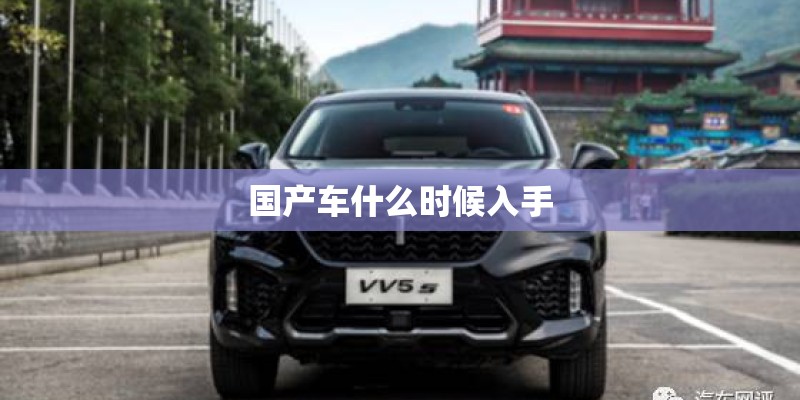 国产车什么时候入手 国产车什么时候入手