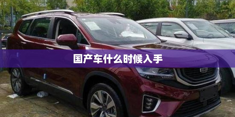 国产车什么时候入手 国产车什么时候入手