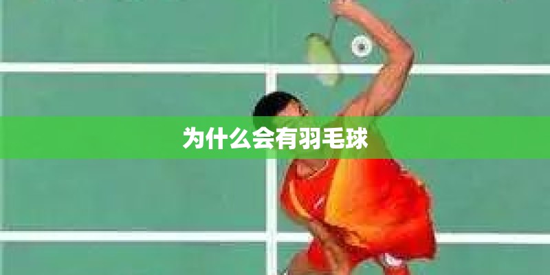 神州行笔记本的显卡坏了有办法修吗