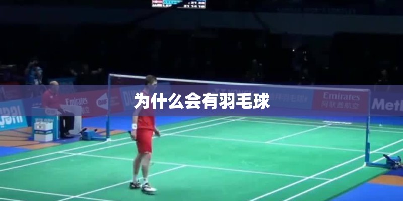 为什么会有羽毛球 为什么会有羽毛球
