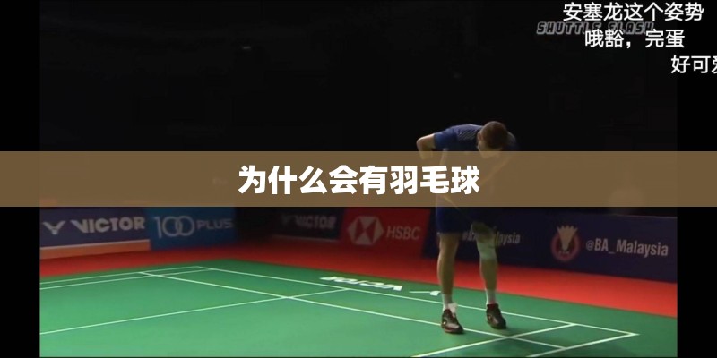 为什么会有羽毛球 为什么会有羽毛球