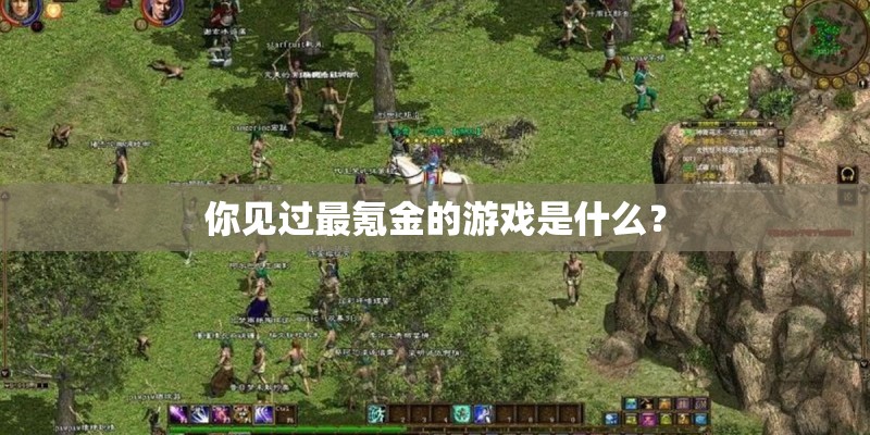 你见过最氪金的游戏是什么？